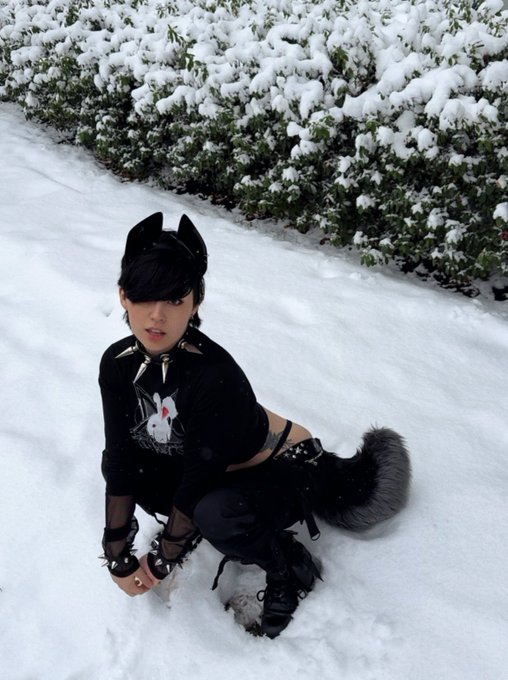 if you're cold they're cold... bring them inside💔 https://t.co/NMOSK7sXtP