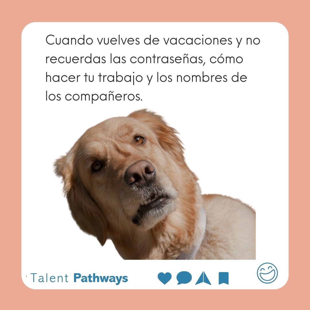 talent_pathways's tweet photo. 😄 Si alguna vez has sentido que regresar de vacaciones es como intentar recordar un sueño, este meme es para ti. 
 
¡Que este fin de semana sea tan claro como tus contraseñas olvidadas! 🐾✨ 
 
#TalentPathways #RRHH #Trabajo #RecursosHumanos #Viernes #HumorLaboral #FinDeSemana https://t.co/HW8Tls5YwU