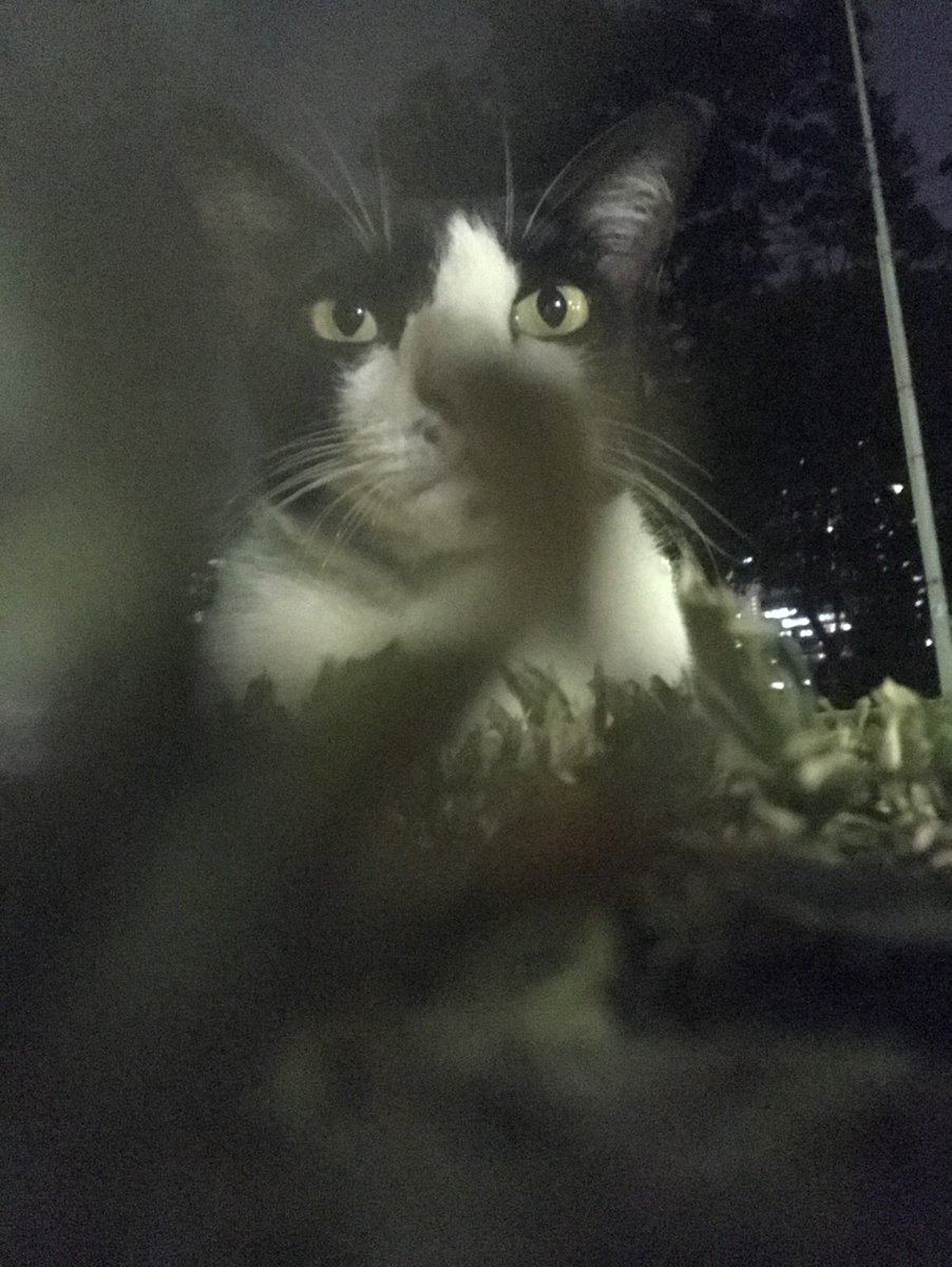 渐入 (@vanlounge7788) on Twitter photo 