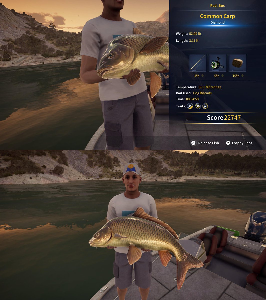 redbuc69's tweet photo. Diamond “Common Carp” Caught On Aguas Claras Municipio. https://t.co/3vzcdscf4t