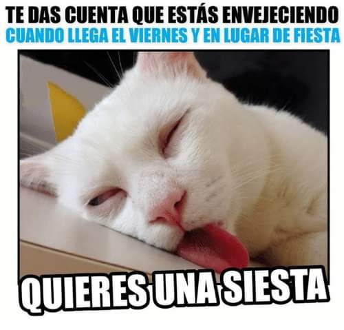 AsturPhone's tweet photo. ¿No os pasa guajes?  A nosotros si 😂😂😂

Y acuérdate silenciar el móvil que ta de moda llamar a esas horas pa molestar... ¡eso con nosotros no te pasa! 

Pásate a Asturphone, el operador 100% asturiano 

#asturianizate #sinpermanencia #asturias #asturphone #operadorasturiano https://t.co/L4S4xUS9w5