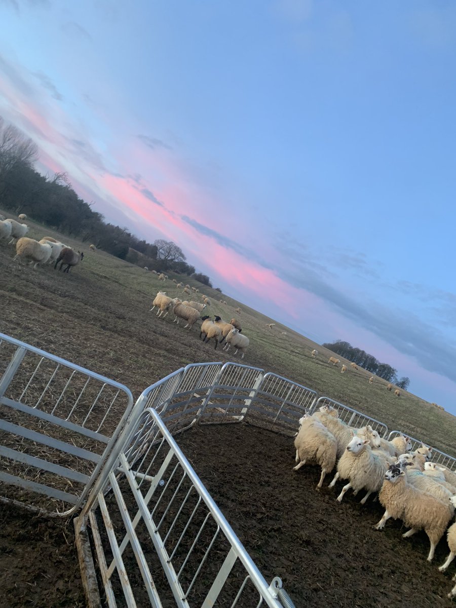 Abi Beynon-brown tweet media