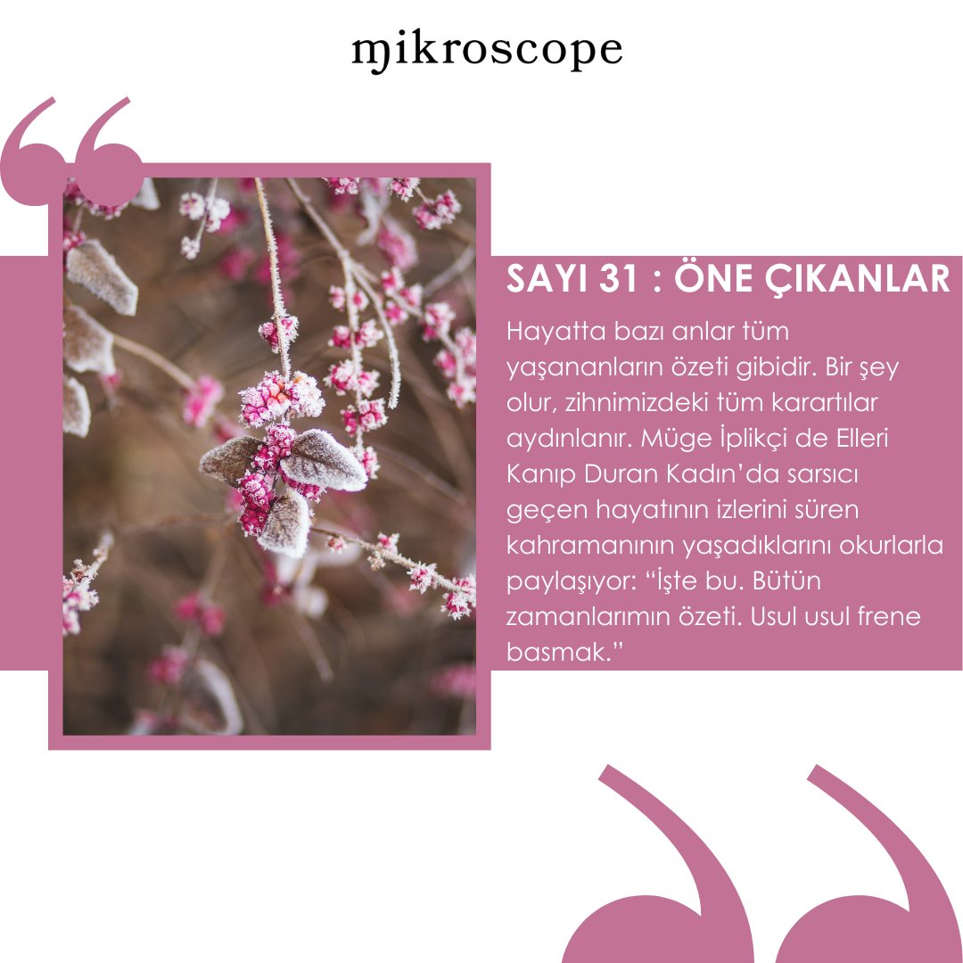 mikroscopetr's tweet photo. 🪶 Ocak ayının “ocak" temasında öne çıkan yazılarımız sizlerle.
#mikroscope #mikroscopetr #edergi #öneçıkanlar #ocak https://t.co/23aloQiXC4