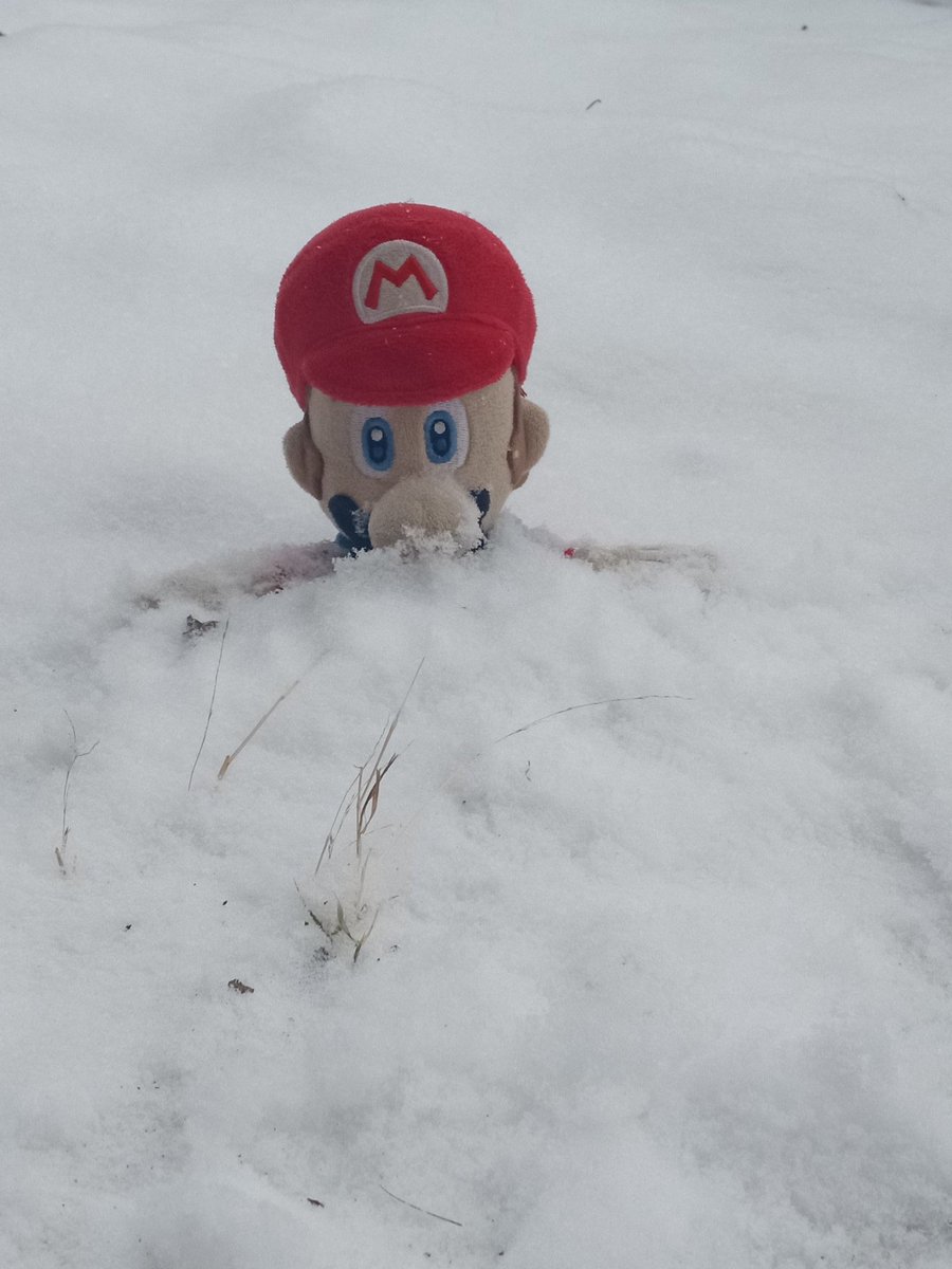 MarioStayPos's tweet image. Look guys I'm buried in the snow Lol.😂
Also I got buried in the snow too 😁
#WinterWonderland
