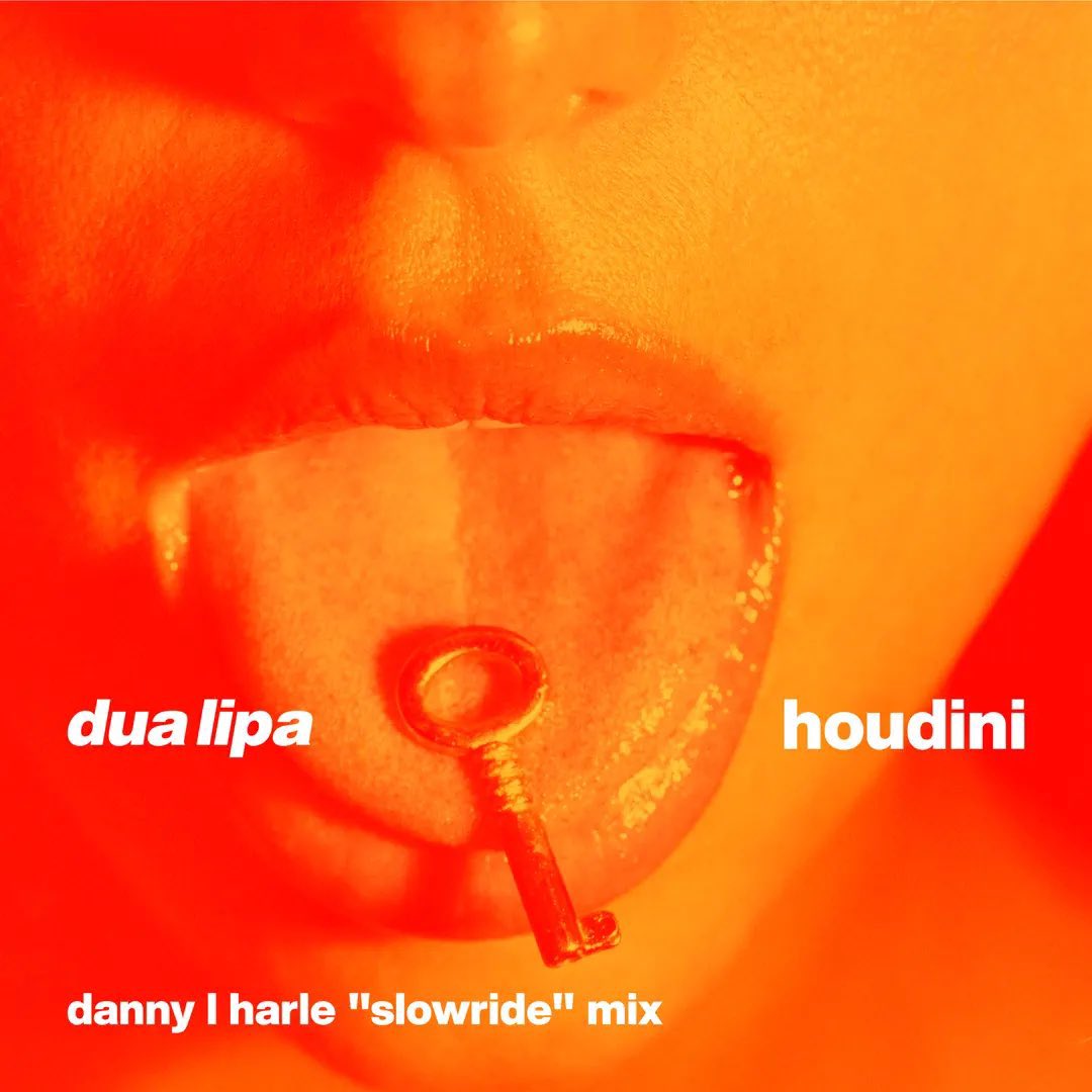 Thinking about 'Houdini - Danny L Harle 'Slowride’ Mix” night and day! 👻🖤 Now available: dualipa.lnk.to/houdinidannylh…