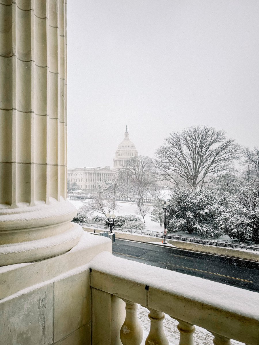 The #snow brings a serene calm to the Hill, a quiet like no other. 🤍 @capitalweather
