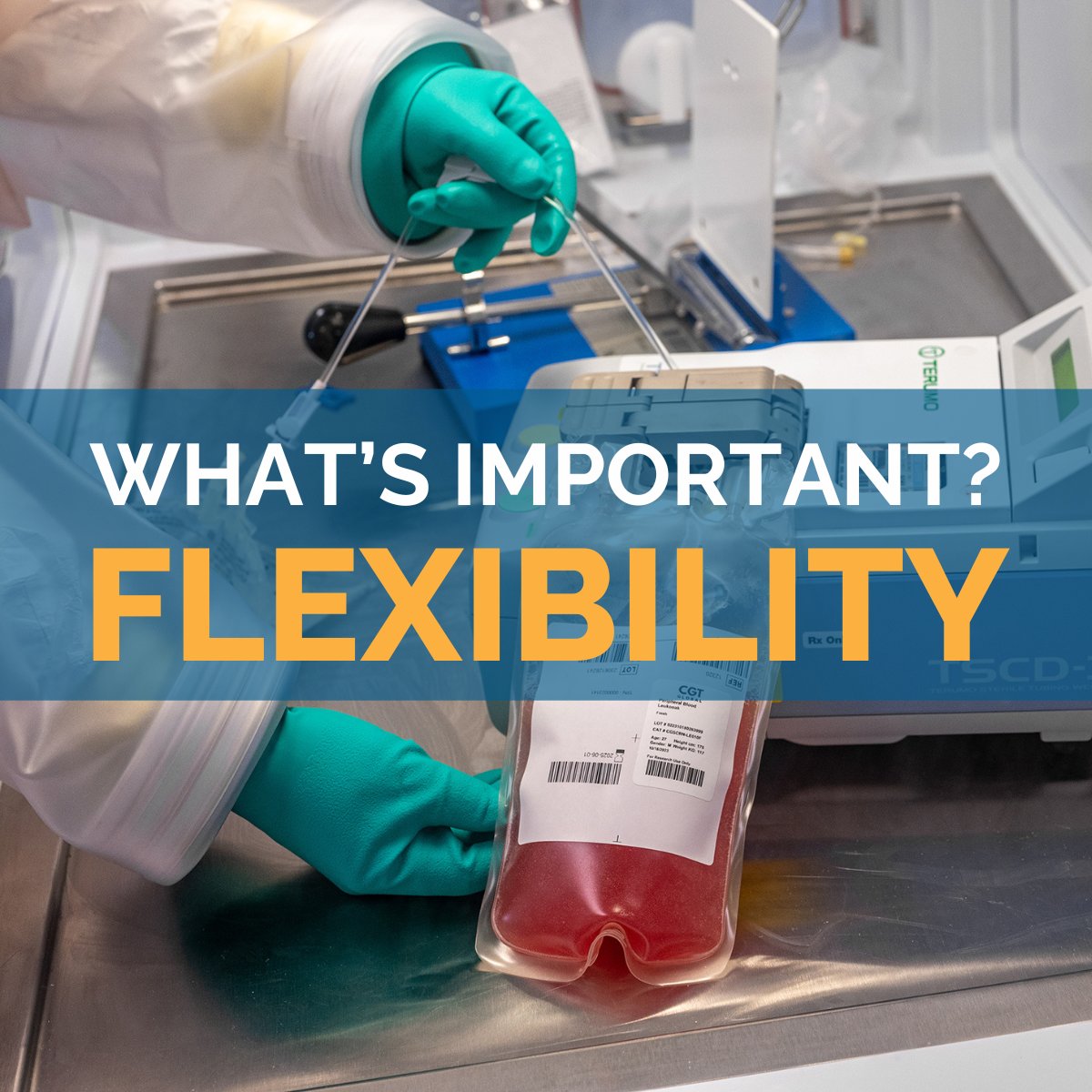 CGT_Global's tweet photo. https://t.co/rU7yqax99s

Discover flexibility with CGT Global’s cryopreserved leukopaks! Customize your order into separate bags, thawing only what your project requires, minimizing waste, and allowing for the reproducibility of your research and clinical projects.

#CGTglobal https://t.co/cv5Utc6sGn