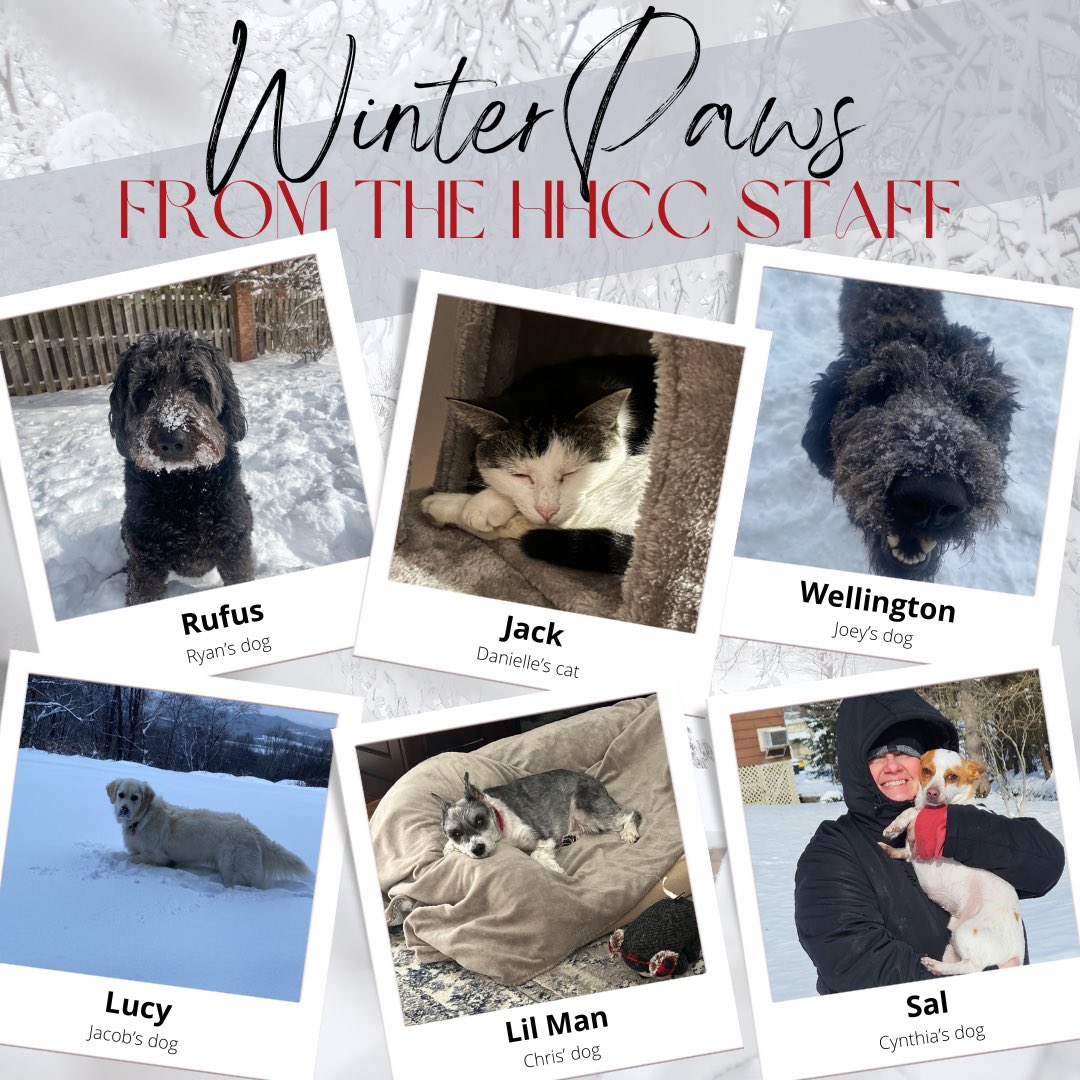HolstonHillsCC's tweet photo. When the weather grows cold ๐ฅถ & snowy โ๏ธa pet will WARM your soul!
Check-out our very own HHCC WinterPaws adventures from our HHCC Staff!! โค๏ธ๐๐โโฌ
#HolstonHillscc #McconnellGolf #WinterWeather #Snow #Pawsome #WinterPaws #PetVibes #StaffPets https://t.co/zaD7T8YEJb