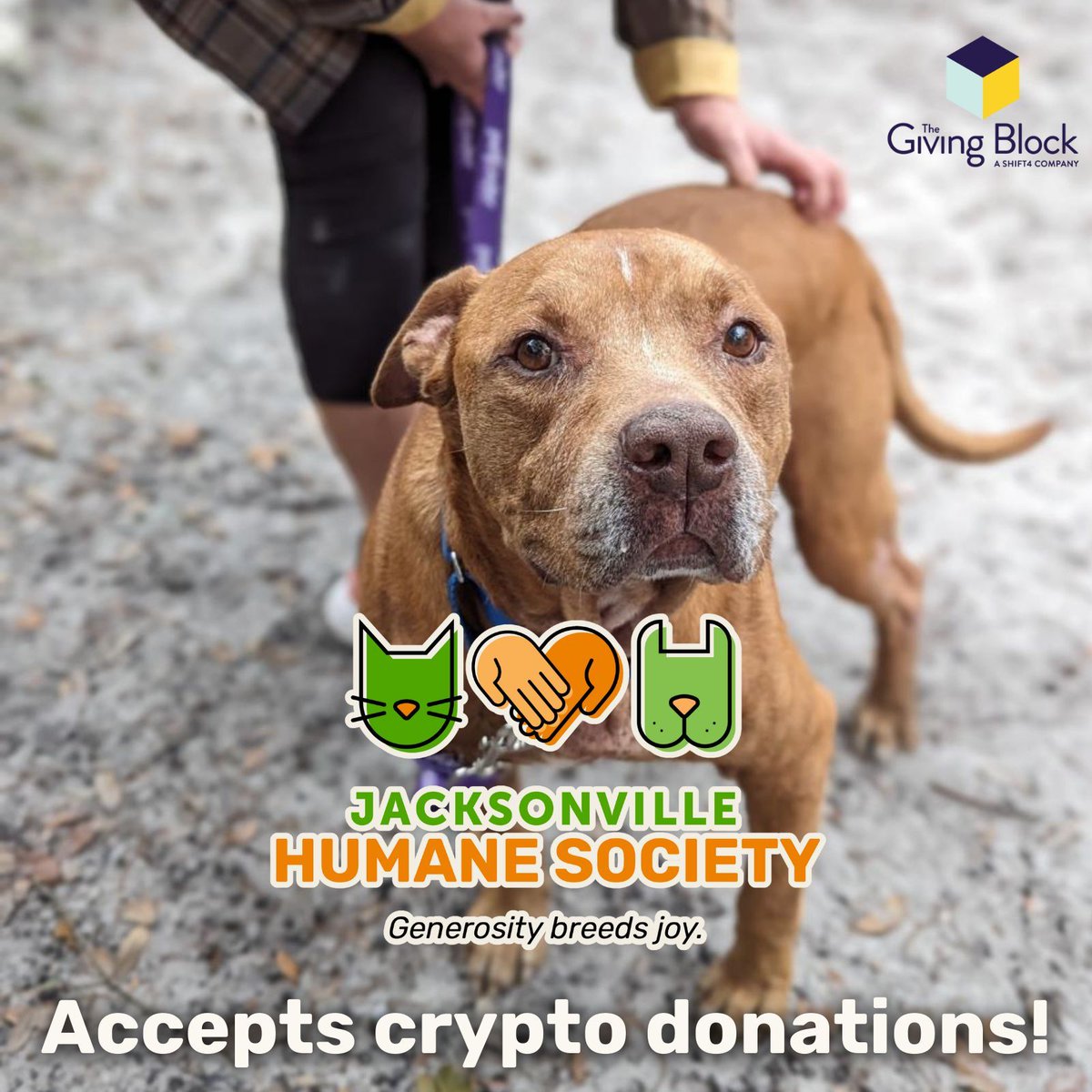 JHS is creating more impact through innovation this year. With help from @thegivingblock, JHS can accept donations from over 80 different cryptocurrencies! Help us change shelter animals' lives by donating crypto today: buff.ly/3u30HAL 🐶💙😸