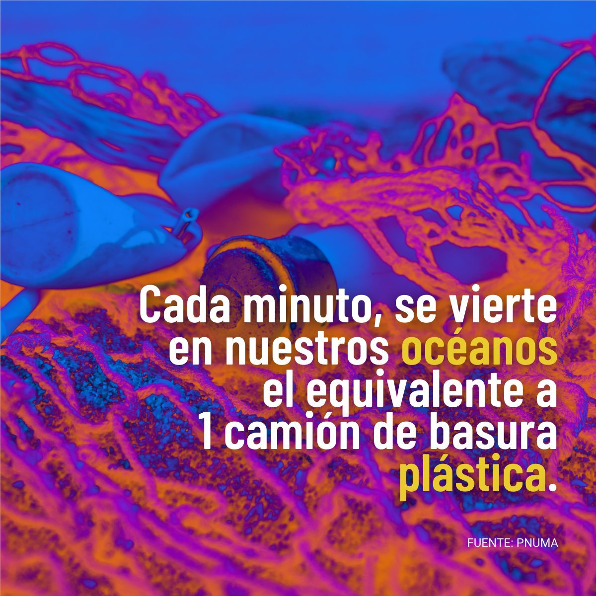 Los residuos plásticos tardan hasta 1.000 años en descomponerse, perjudicando la vida marina, el suelo y nuestra salud.

#ActúaAhora; tus hábitos de consumo pueden contribuir a reducir la contaminación por plásticos. unep.org/es/noticias-y-… Vía <a href="/unep_espanol/">Programa ONU Medio Ambiente</a>