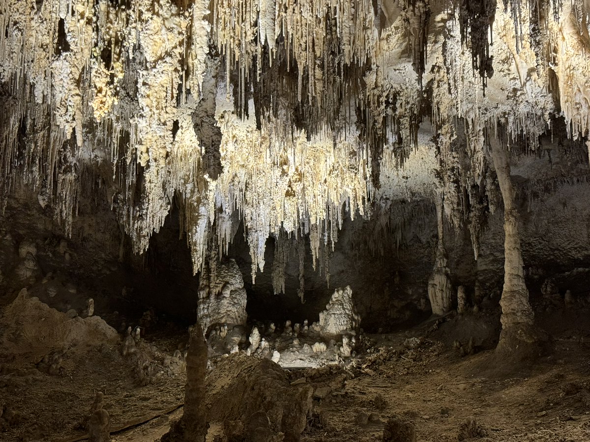 Celebrate National Popcorn Day by exploring your favorite cave. Carlsbad Cavern and Caverns of Sonora are famous for its plentiful popcorn formations. This picture was taken in Carlsbad Cavern in the Papoose Room. NPS/Brian Cole #CarlsbadCaverns #FindYourPark #EncuentraTuParque