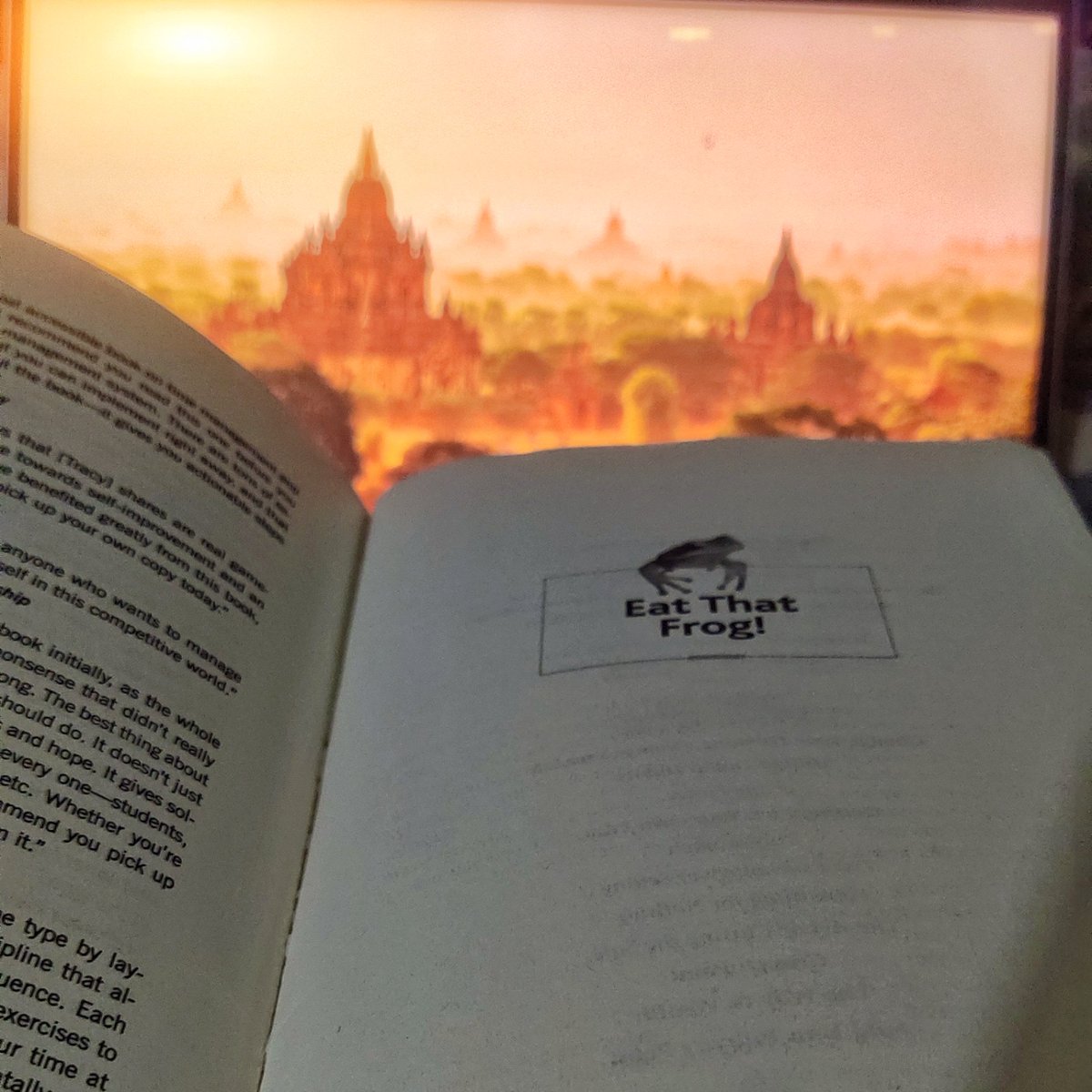 Trezarex's tweet photo. Froggy Reads 🐸 https://t.co/aPnXjMfuV2