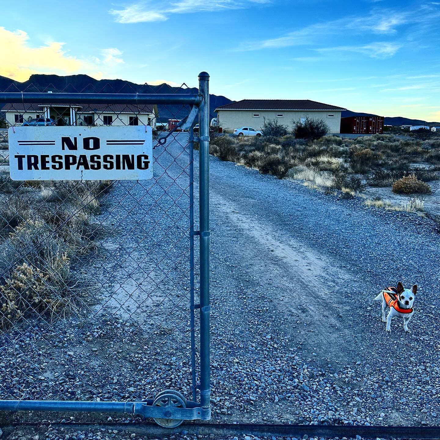Trespass cumulus sale