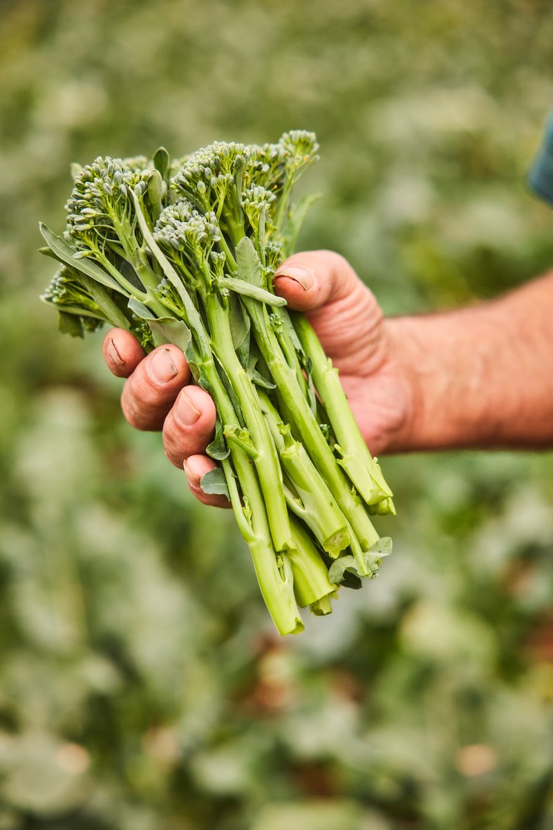 Tenderstem® tweet media