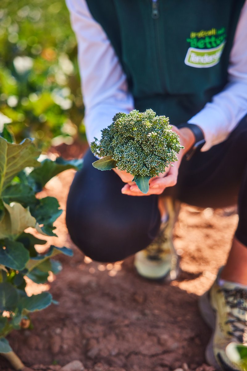 Step aside, bore-occcoli! Tenderstem® is in town. Not only does Tenderstem® LOOK better and COOK better, most importantly, it TASTES better. Have you upgraded yet? 🥦