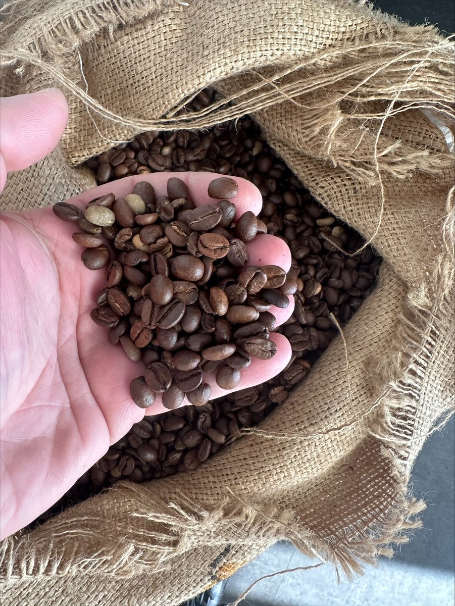 cibosanoltd's tweet photo. Diving into the rich, aromatic world of Lavazza today and our tastebuds were in coffee heaven! Thank you for having us Lavazza 😊 #cibosano ##lavazza #lavazzacoffee #LavazzaCoffeeDesign #lavazzablue #italiancoffee #italiancoffeeshop #Italiancoffeeco https://t.co/NjSZnGfV1d