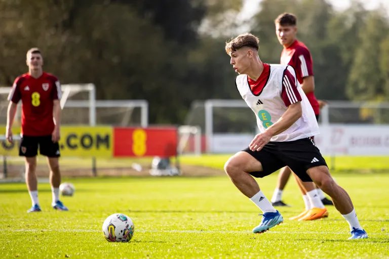 FAW Player Pathway tweet media