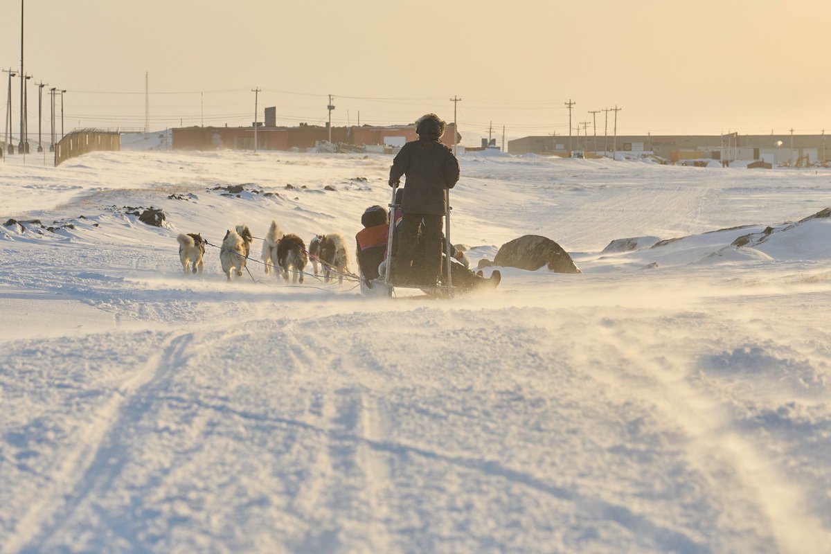 President Kotierk and I had the opportunity to take the Prime Minister and his son on-the-land today. Many thanks to young musher Letia Eegeesiak for the excellent ride on her dog team.