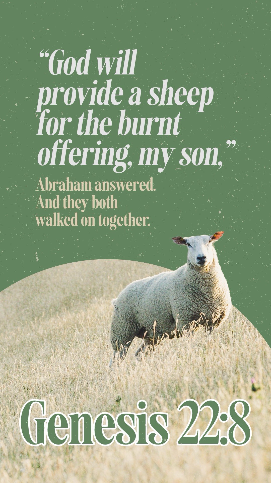 The Bible Verses в X: „Genesis 22:7-8 (NASB) The Offering of