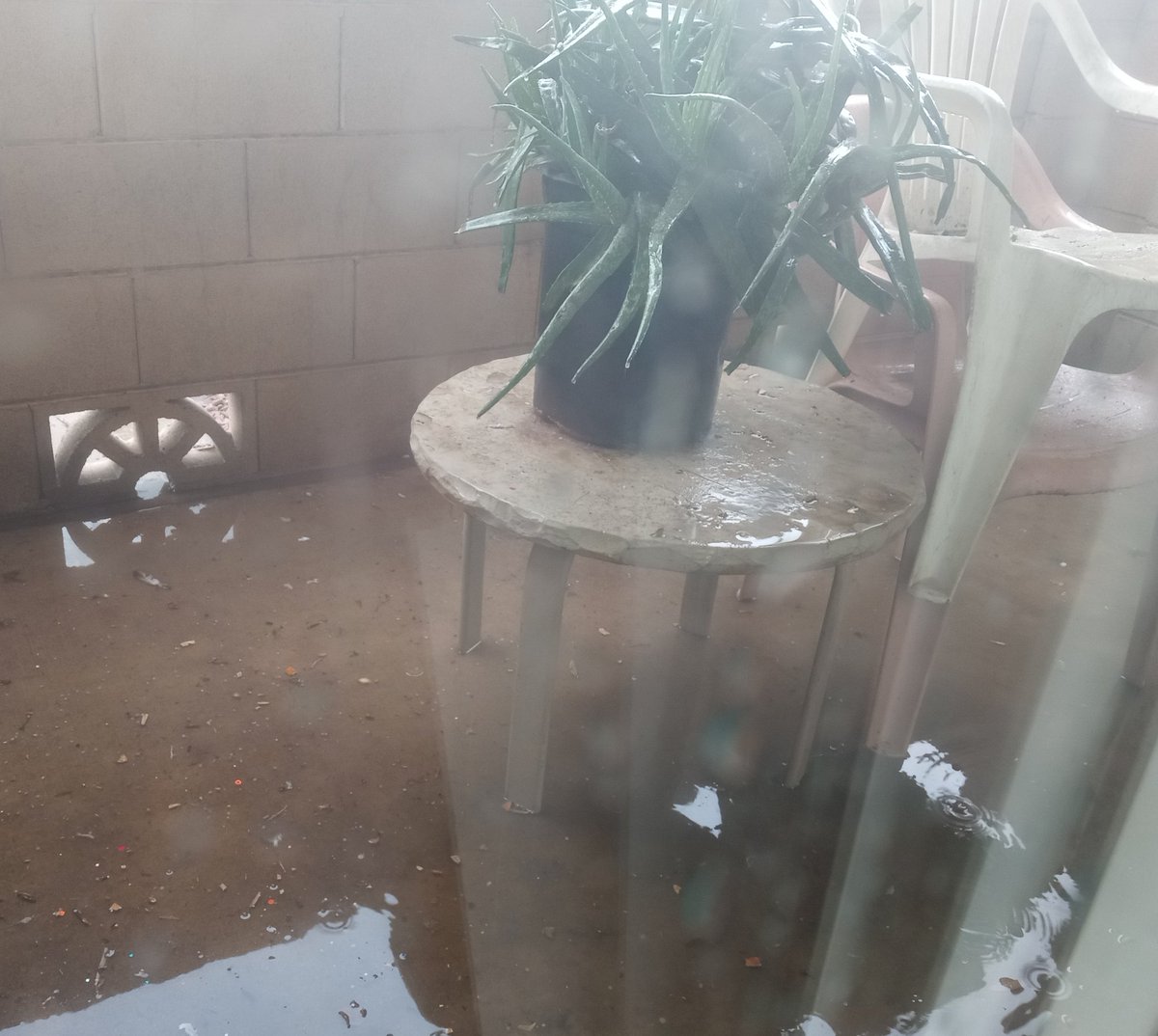 Cj 🌵 Arizona tweet media