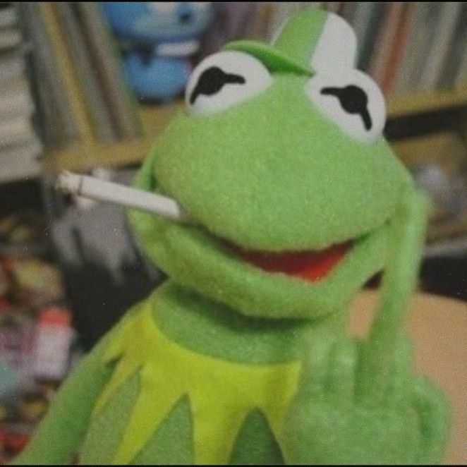 KermitTicker's tweet image. $KERMIT give no f*cks!
