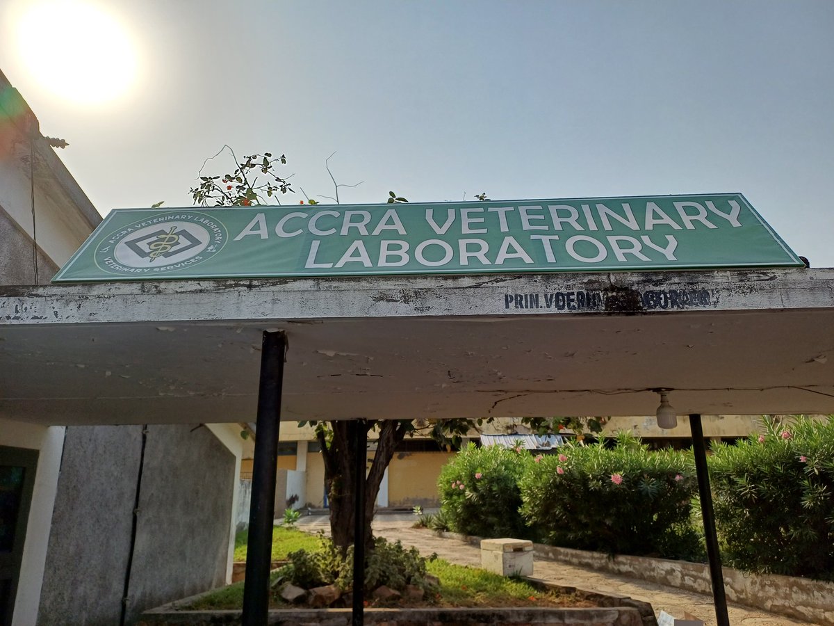 Attending the regional veterinary #Laboratory capacity assessment meeting in #Ghana this week, I had the opportunity visiting the headquarters of Ghana Vet Services & #Accra Vet Laboratory. Thanks to #UMAP, @au_ibar @ECOWAS_RAHC @USDA & Africa Food Safety Initiative.