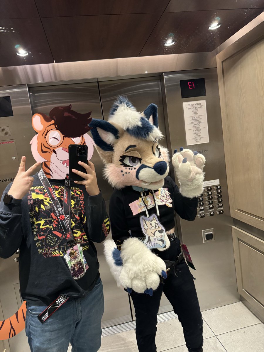 ⚡️Knox Coyote⚡️ tweet media