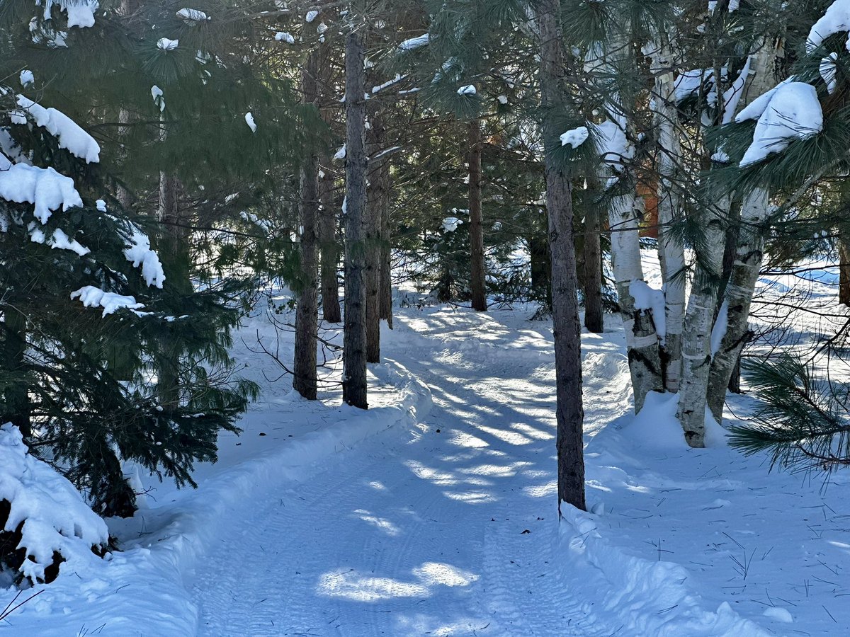 travelingmitch tweet picture