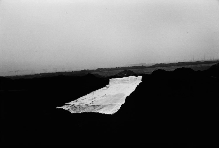 archillect's tweet image. 