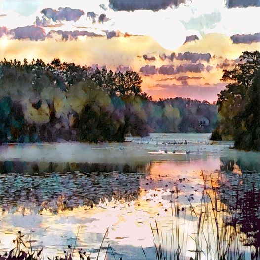 Lakeside View. Cold Day. Ruth McDonald