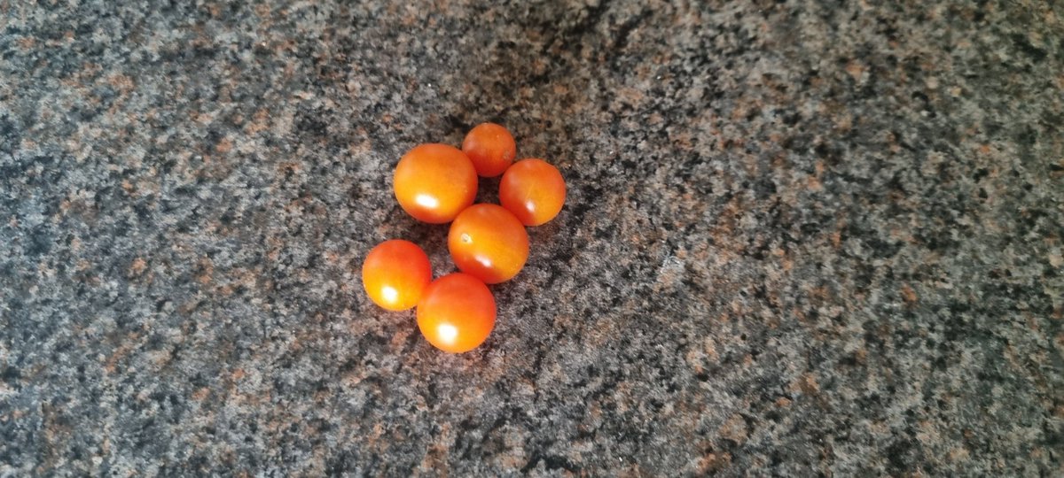 Rob Sullivan tweet media