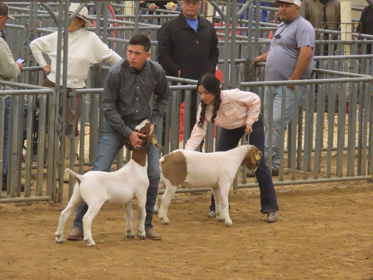 cshs_25's tweet photo. 🍀🐐 https://t.co/KfhziWybm1