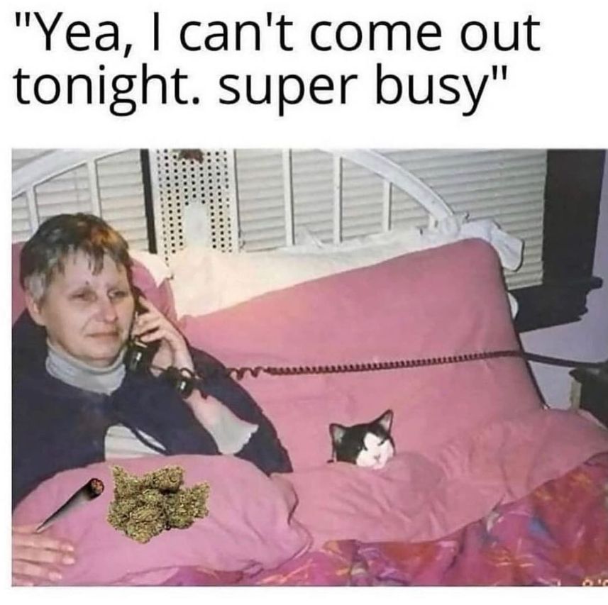 things that i smoke weed to (@stoneythings) on Twitter photo 