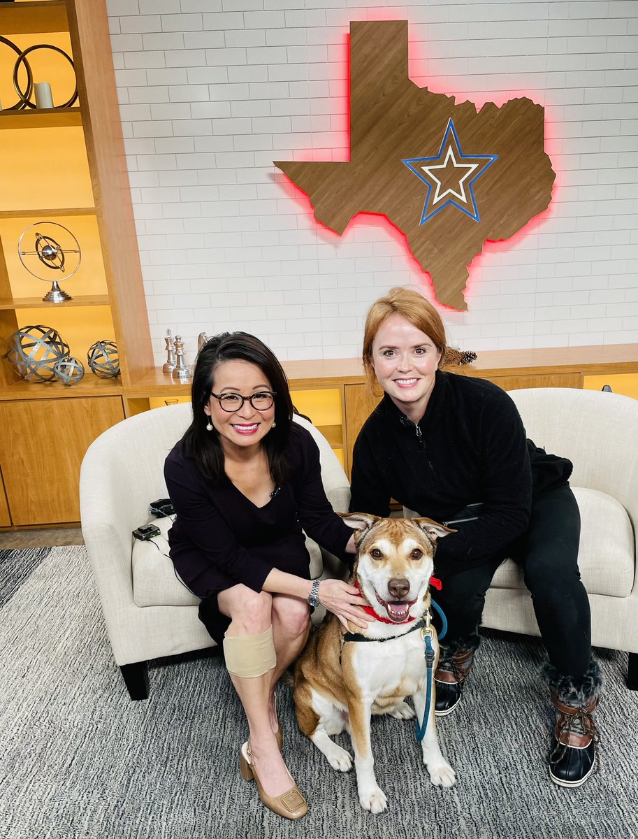 atxadoptables's tweet photo. Teddy Bear is a happy husky ready to help you reach your 2024 fitness goals! https://t.co/wdGI7mmBy8 📺 https://t.co/XyEtIDzKrh