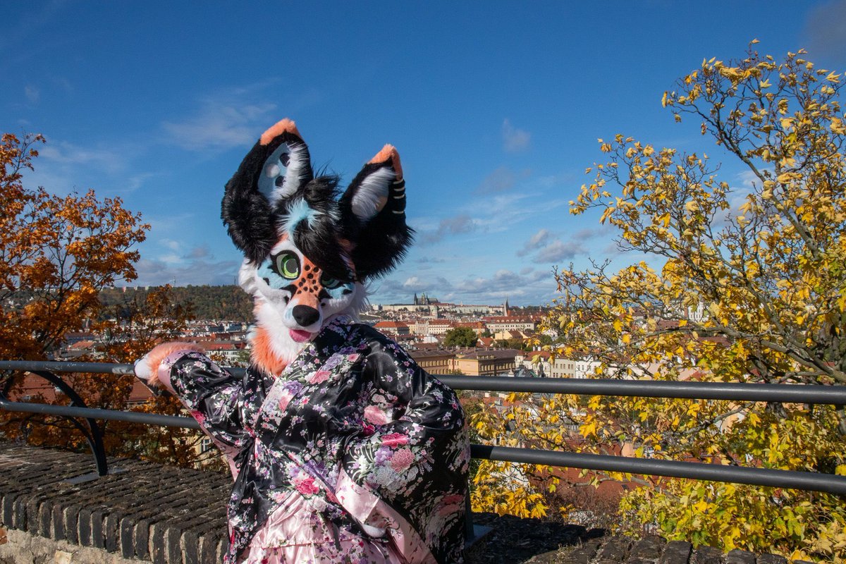 Wimdyyy, but look was great 🍃 🦊 

📷 <a href="/RustyFoxi/">Rusty Fox</a>
🧵 <a href="/Fireflystudiof2/">Fireflystudiofurry</a>
#furry #furryfandom #fursuit #fursuiter #fursuitfriday