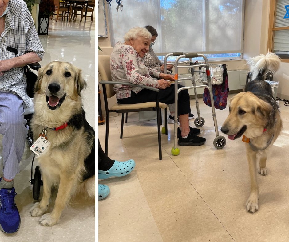 United Hebrew tweet media