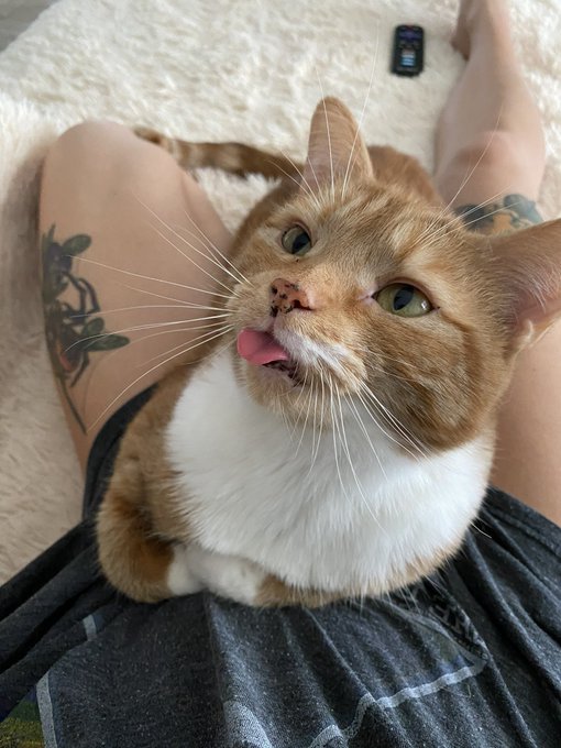 When you realize it&rsquo;s been a year   💔 https://t.co/C7xx6H5krD