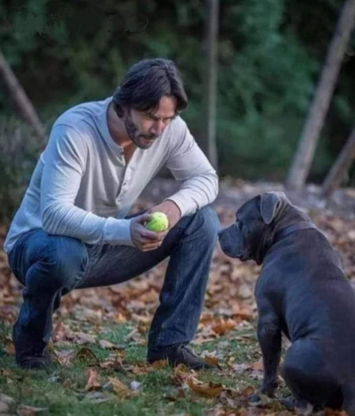 Me es imposible preferir a las personas a los animales. A los animales les falta el habla, a las personas les falta el silencio. 🐾💞

(Keanu Reeves)