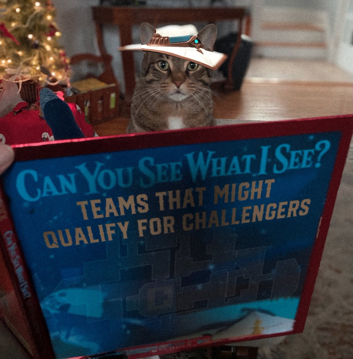 🐱 what teams do you think that cat sees in this book!? 👀