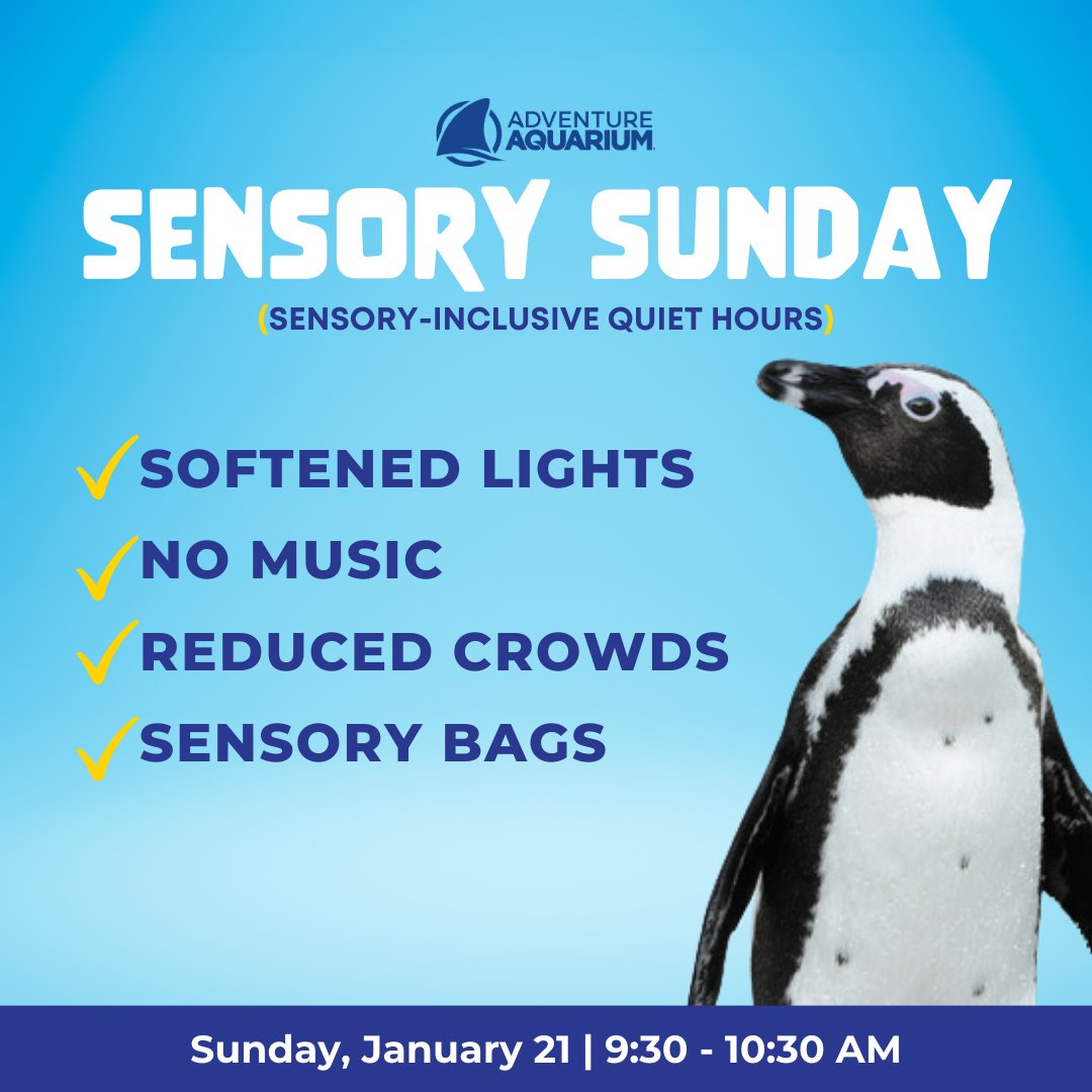 Join us for a sensory-inclusive hour this Sunday, January 21 from 9:30-10:30 a.m. 

Sensory Sunday offerings include: 

✔️ lower music
✔️ softened lights
✔️ reduced the crowds
