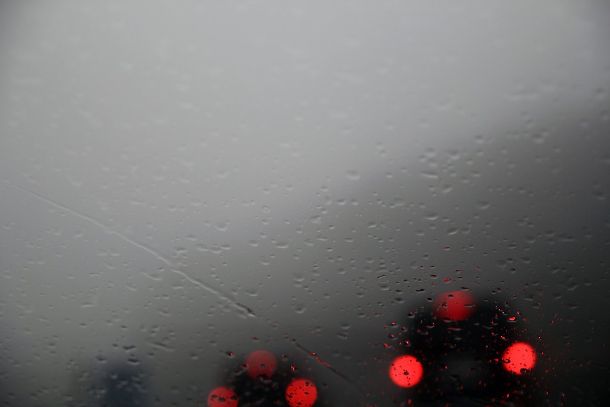 archillect's tweet image. 