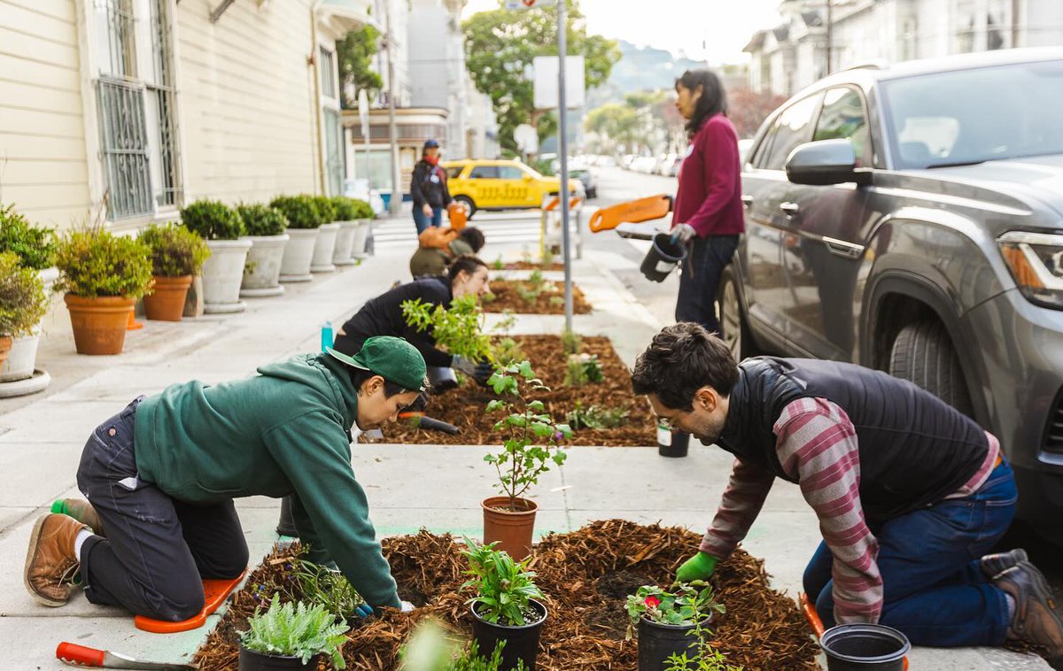 #SF now has 30 new and beautiful sidewalk gardens, as well as a great natural habitat for butterflies, bees and other pollinators, thanks to volunteers at the SF Parks Alliance &amp; Friends of the Urban Forest. Get the buzz! ow.ly/3VMw50QsANl