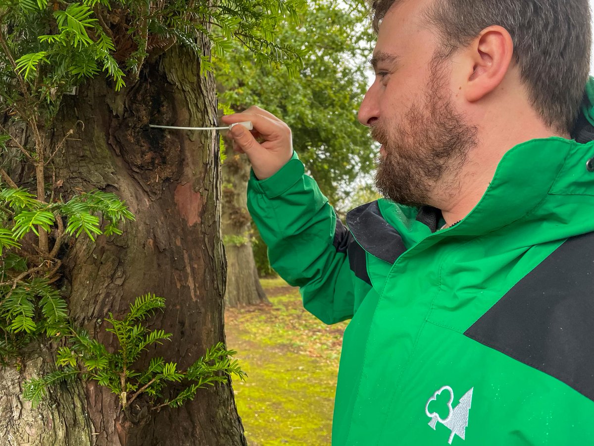 Forest_Research's tweet photo. We are offering six outstanding #ApprenticeshipOpportunities that blend hands-on work with academic advancement. 👨‍🏫🌳 

🔗 Discover more and apply here:  https://t.co/oPFXWhEEzH

📍 Newton Research Office, Elgin, Morayshire IV30 8XR

#FridayJobs #ScienceCareers #ForestResearch https://t.co/1v2lexD2Jx
