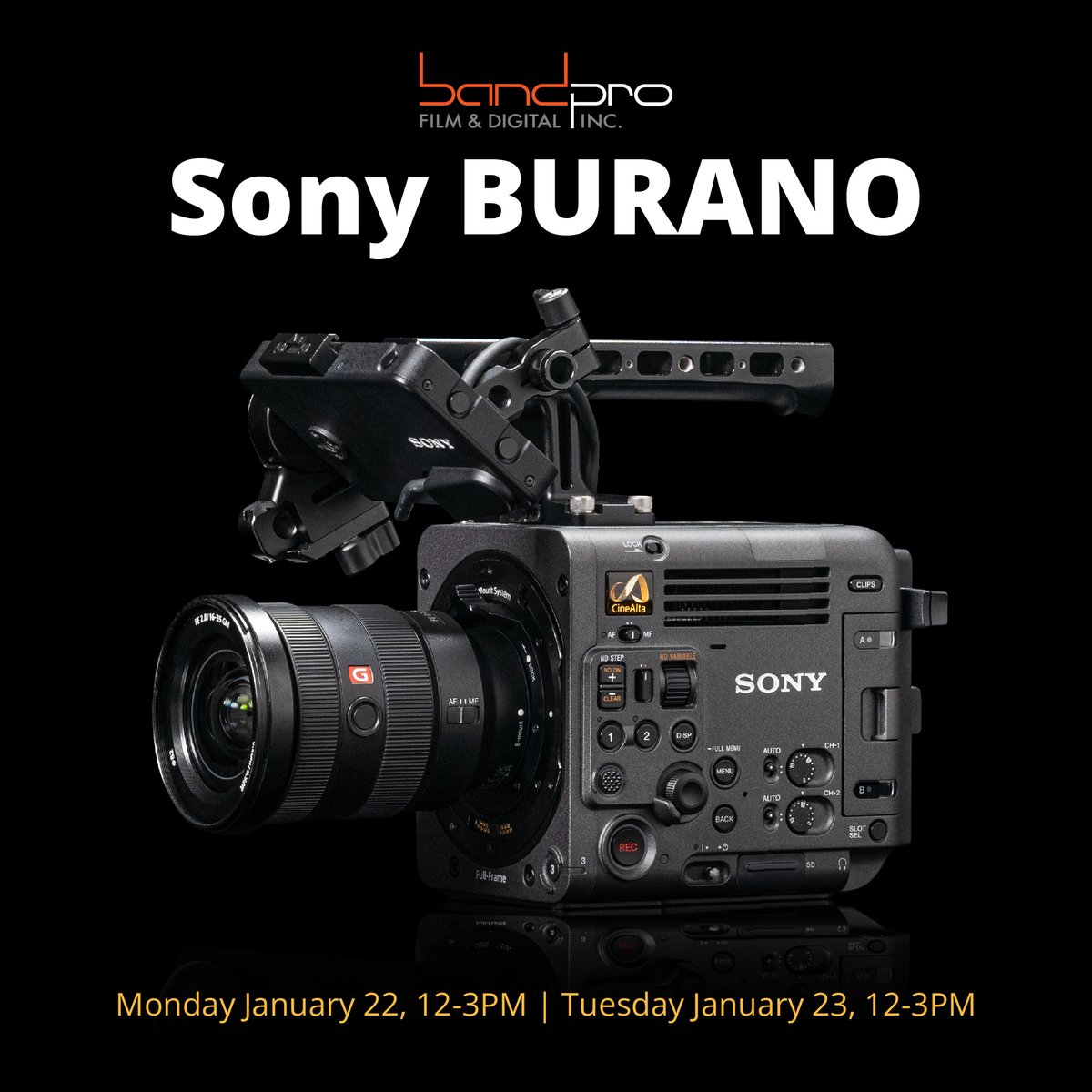 BandProFilmDigital tweet media