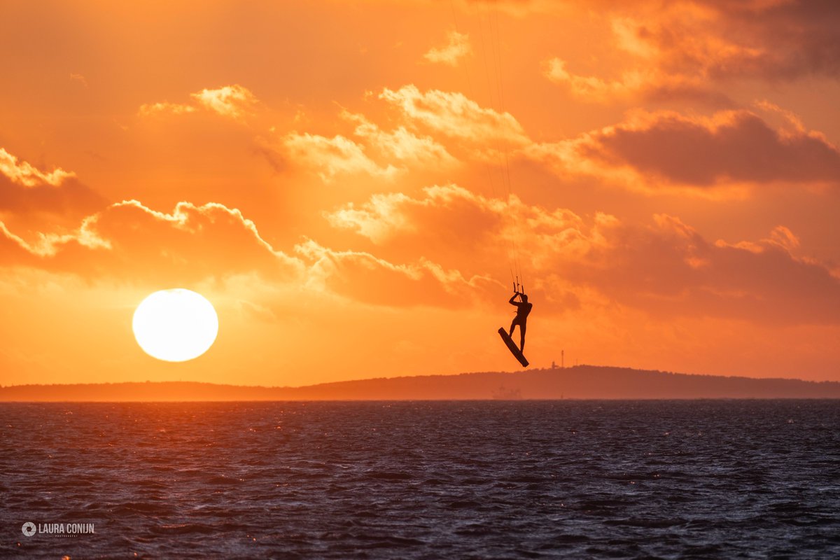 Laura Conijn tweet media