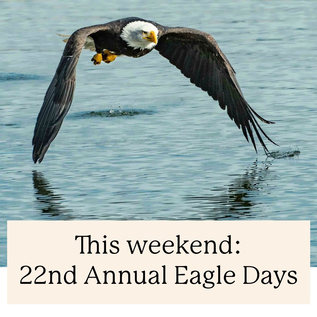 January is one of the best times of year to spot bald eagles.

The 22nd Annual Eagle Days is a free, family-friendly event at Wyandotte County Lake and the Mrs. &amp; Mrs. FL Schlagle Library: bit.ly/4b2iPeI