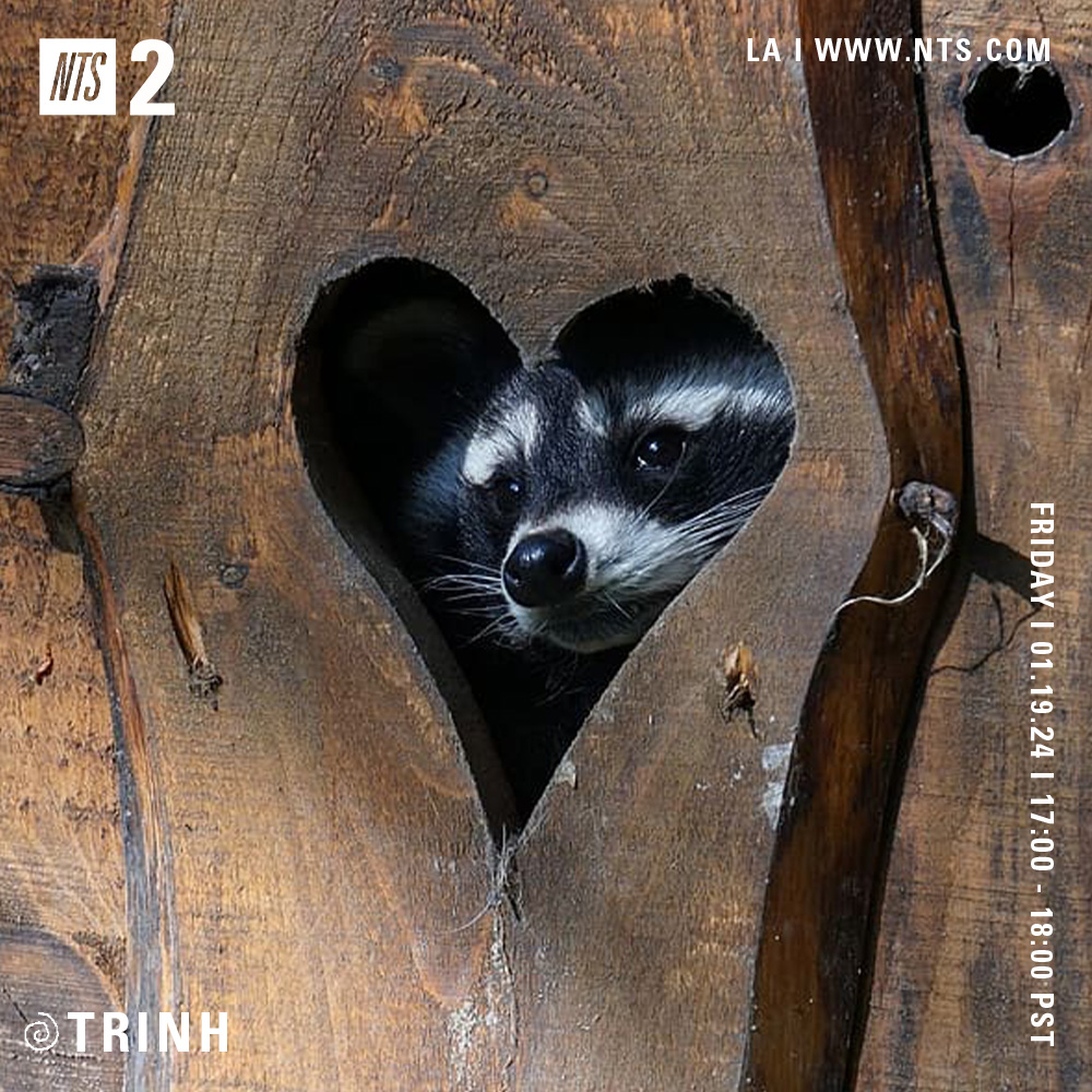 Wind &amp; Blues, covers for the midnight doldrums... Jazz selections by TRiNH  for the next 60min - nts.live/2