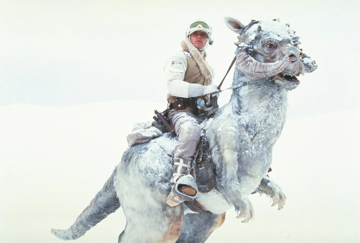 スター・ウォーズ公式 on X: 