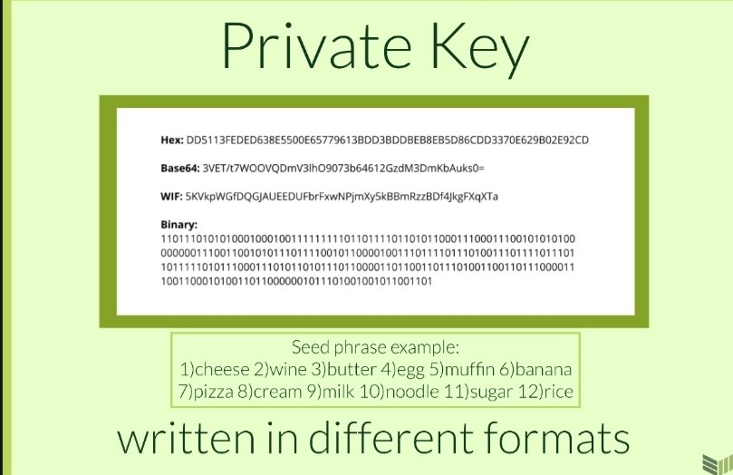 rasivine's tweet photo. D#14π #21DaysofBitcoin @BitcoinMagazine @BitcoinMagEDU @bitcoincoreorg @Coredao_Org π πΆ #Bitcoin https://t.co/8Gc04qH9G5
