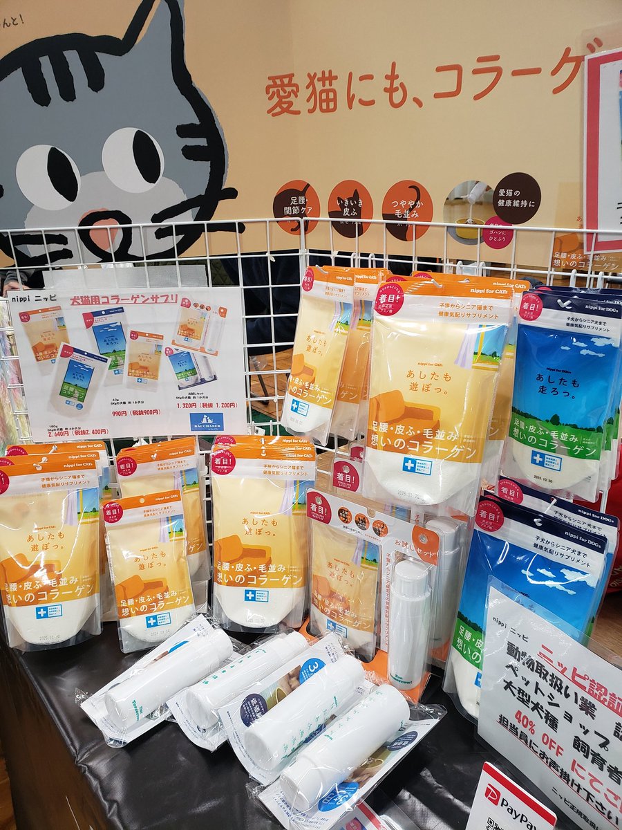Puremax4's tweet photo. CFA JAPAN REGIONAL CAT SHOW 準備完了です☺️
#catshow #CFA #regionalcatshow #oneofmiu #bacchaser #nippi #浅草 https://t.co/LhGXGpd2U5